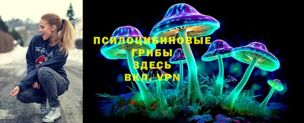 стаф Протвино