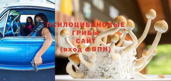 мдпв Абдулино