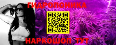 твердый Заводоуковск