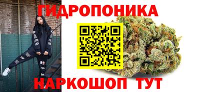 ПСИЛОЦИБИНОВЫЕ ГРИБЫ Заволжье