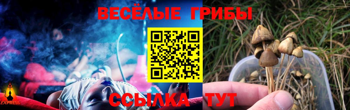 Галлюциногенные грибы Psilocybe Алапаевск