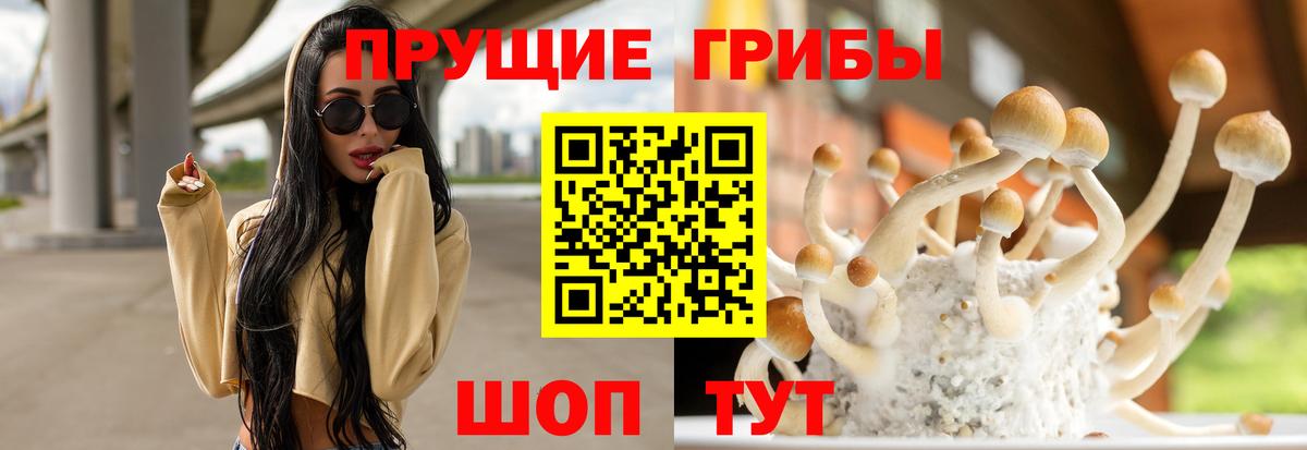 Псилоцибиновые грибы Magic Shrooms  Вход с VPN  Алапаевск  Галлюциногенные грибы MAGIC MUSHROOMS 