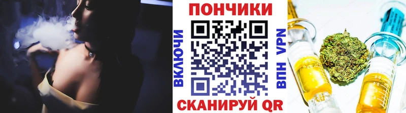 закладка  Алапаевск  Бошки марихуана конопля 